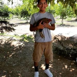 Meet your Posher, Eduardo